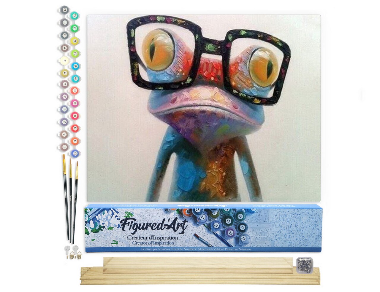Figured'Art Paint by Numbers for Adults Frog and Eyewear 16"x20" - Craft Art Painting Rolled Canvas with DIY wooden frame